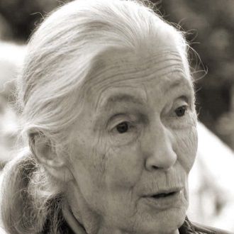2016 : Jane Goodall